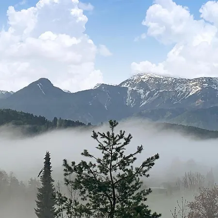 アパート Mit Sauna シーフリング・アム・ゼー